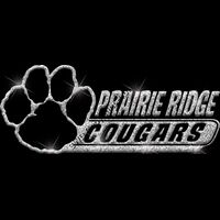 GLT102 SILVER GLITTER Thumbnail