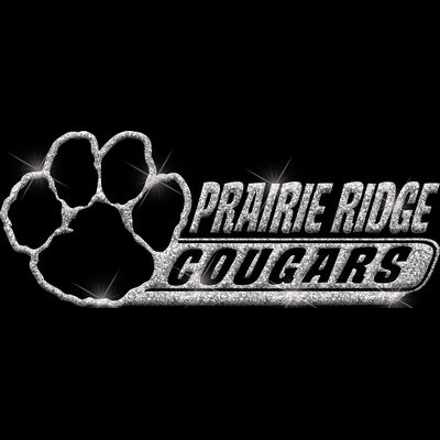 GLT102 SILVER GLITTER Thumbnail