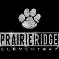 GLT55 SILVER GLITTER Thumbnail