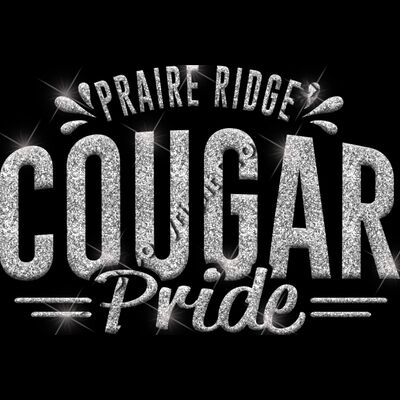 GLT62 SILVER GLITTER Thumbnail