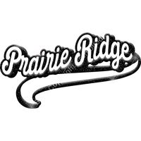 GLT78 BLACK GLITTER Thumbnail